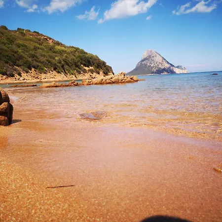 Vista Tavolara - Sardegna 아파트 Vaccileddi