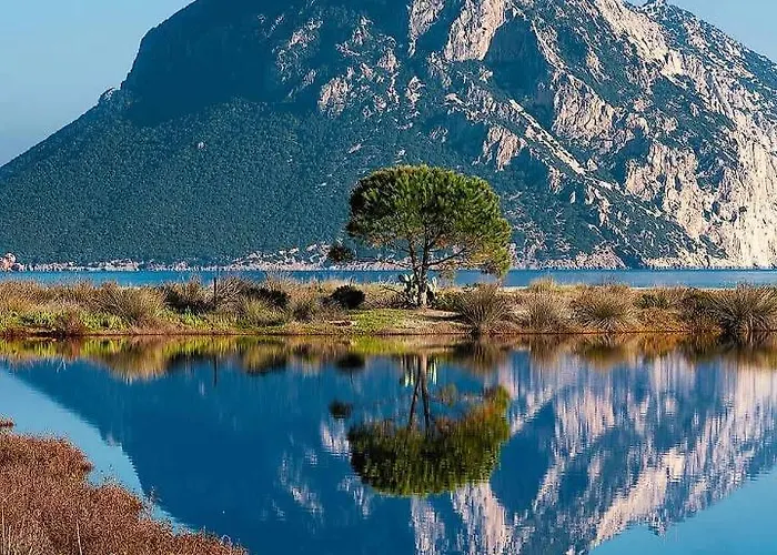 Apartamento Vista Tavolara - Sardegna Vaccileddi